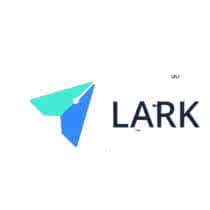 Service GSM Brand Lark