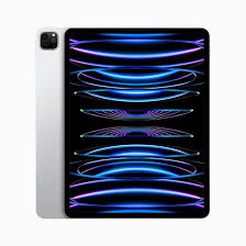 Model Apple Ipad Pro 11 2024