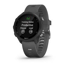 Service Garmin Forerunner 245