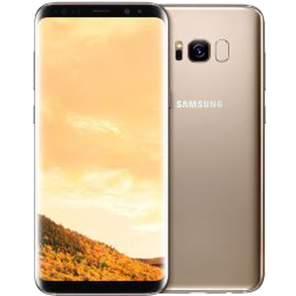 Service GSM Model Samsung Galaxy S8+